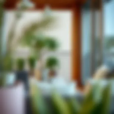 A Comprehensive Guide to Selecting Balcony Furniture Introduction A Comprehensive Guide to Selecting Balcony Furniture Introduction