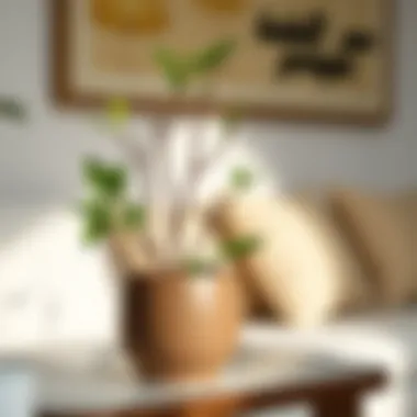 Stylish Pot for Lucky Bamboo A stylish pot for lucky bamboo enhancing home decor