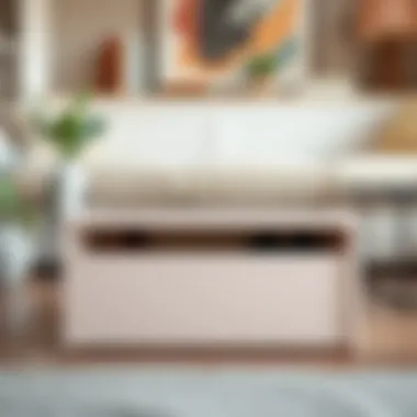 Elegant shoe storage box with transparent lid