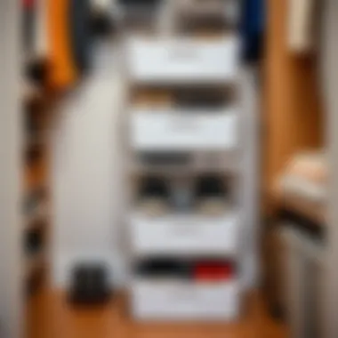 Stackable storage boxes for shoes in organized closet