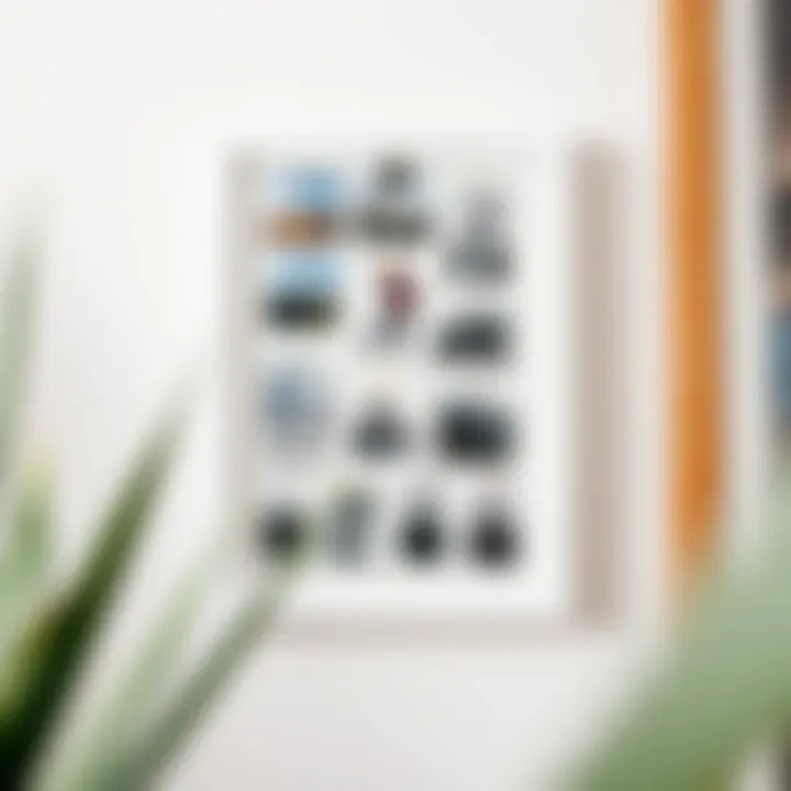 Photograph Arrangement in Clip Frame Stylish arrangement of photographs within a clip frame