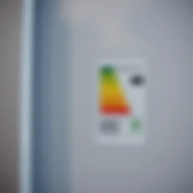 Energy rating label emphasizing energy efficiency
