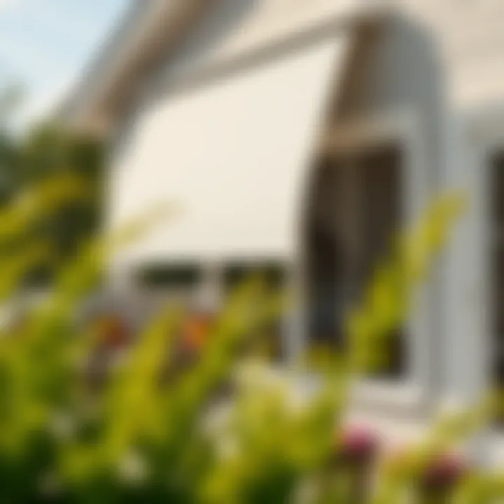 Notable Comprehensive Guide to Outdoor Corded Roll Up Shades