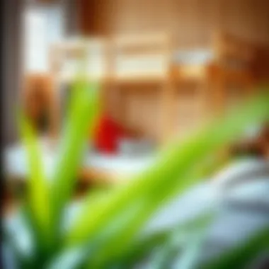 Various materials used in twin loft bed construction