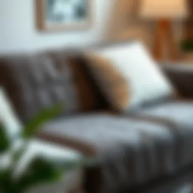 Diverse Couch Protectors Featuring Different Materials Variety of couch protectors showcasing materials and designs