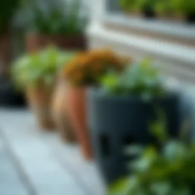 A comparison of different materials used for deep planters