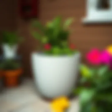 A guide for selecting the right deep planter for your garden