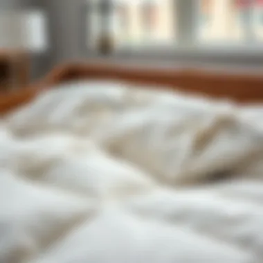Different materials used in duvet and comforter construction
