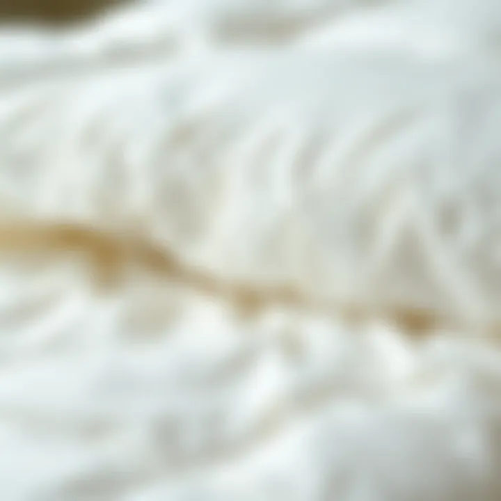 Close-Up of Premium Goose Down Filling Close-up of high-quality goose down filling