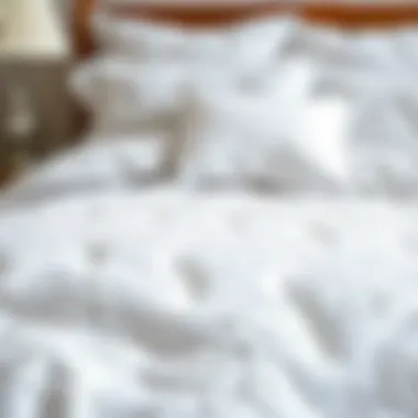 Intricate Design of White Patterned Duvet Elegant white patterned duvet showcasing intricate design details