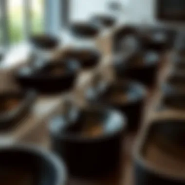 Diverse Styles of Black Bathroom Sinks Various styles of black ceramic sinks displayed together