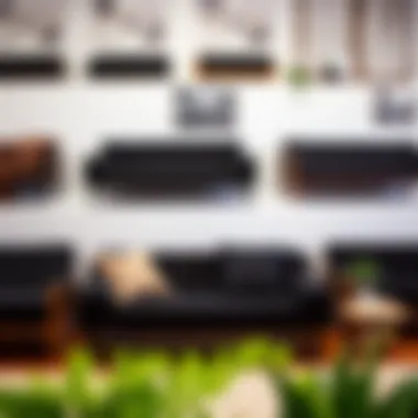 Diverse styles of black futons displayed