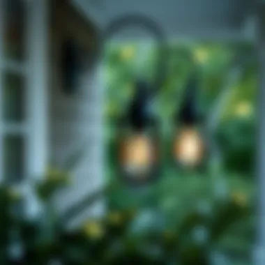 Black porch light with eco-friendly LED bulbs