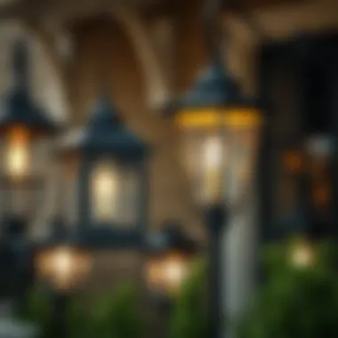 Diverse Styles of Black Porch Lighting Variety of black porch lights showcasing different styles