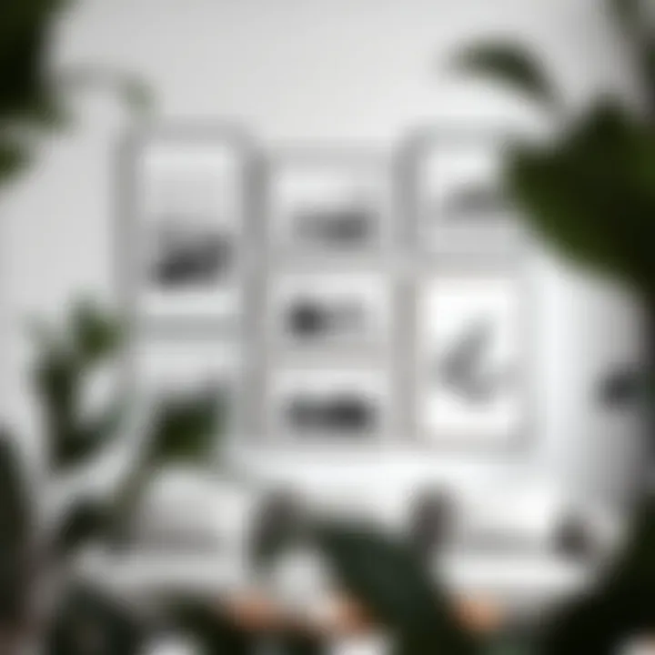 A minimalist gallery wall featuring a collection of framed black and white photography