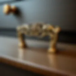 Elegant brass pull showcasing intricate design