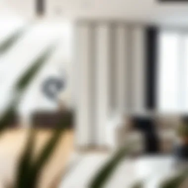 Sleek Modern Faux Wall Divider Sleek modern faux wall divider in a bright living room setting