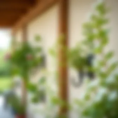 Exploring Garden Wall Hooks: A Functional and Aesthetic Choice Summary Exploring Garden Wall Hooks: A Functional and Aesthetic Choice Summary