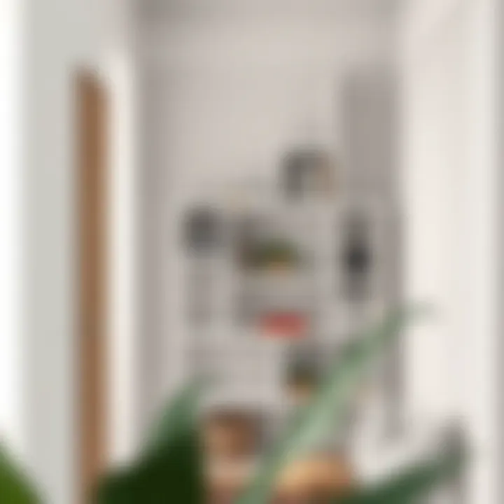 Compact Space with Geometric Shelving Geometric shelving used in a compact space for efficient storage