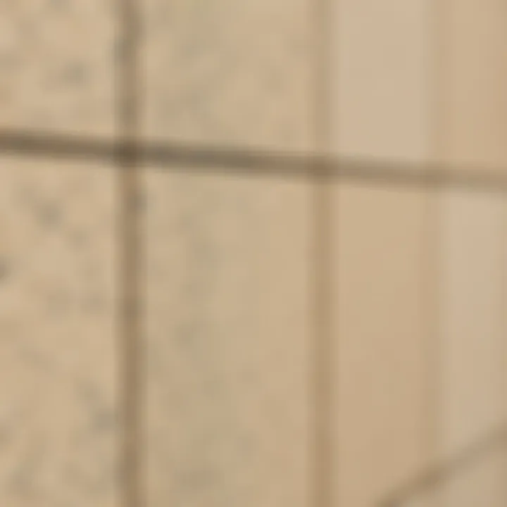 The Unique Texture of Gray Cork Board Tiles Close-up of gray cork board tiles showcasing texture