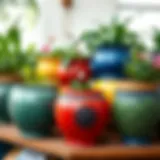 A display of ceramic planters showcasing vibrant colors and intricate designs