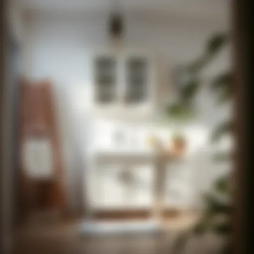Exploring Home Depot Small Bathroom Cabinets Introduction
