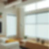 Elegant horizontal blinds in a modern living room setting