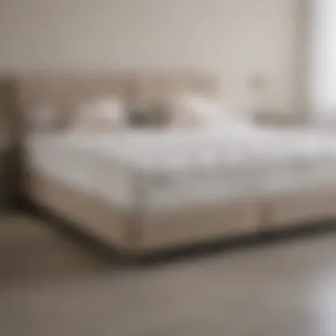 Features Comparison of Light Foam Mattress Brands Comparison chart of different brands of light foam mattresses highlighting their features