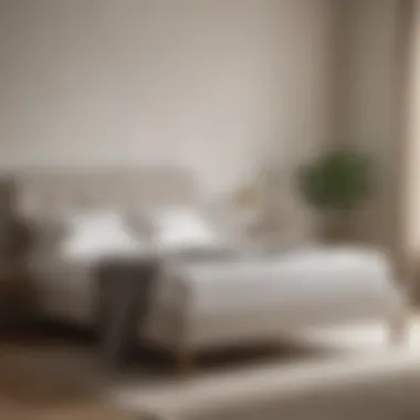Tranquil Bedroom with Light Foam Mattress A serene bedroom environment featuring a light foam mattress on a minimalist bed frame