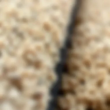 Close-Up of Rug Texture Close-up of rug texture showcasing durability