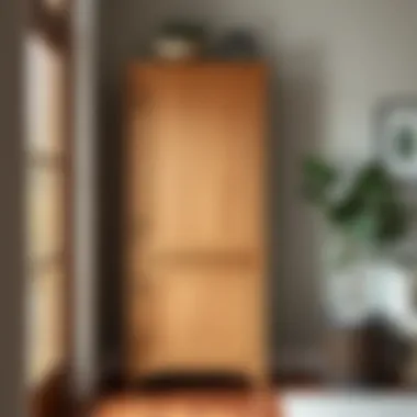 Charming Narrow Entryway Cabinet in Home Decor Charming narrow entryway cabinet enhancing home decor