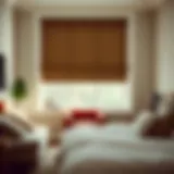 Exploring No Tools Roller Shades: An In-Depth Guide Introduction
