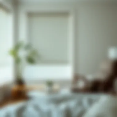 Exploring No Tools Roller Shades: An In-Depth Guide Summary Exploring No Tools Roller Shades: An In-Depth Guide Summary