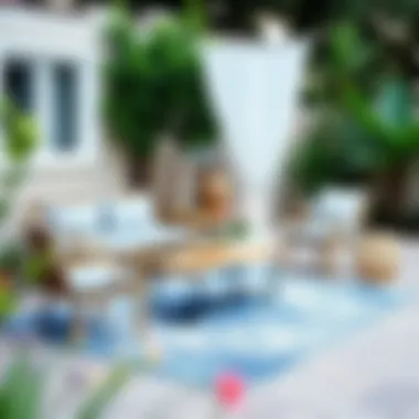 Aesthetic outdoor setting with coordinated rug