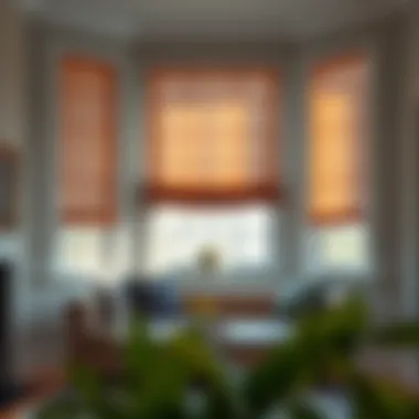 Enhancing Light Control with Roman Blinds Demonstration of light control with roman blinds