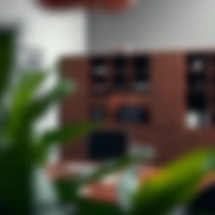 Guide to selecting the right solid wood cabinet for your workspace