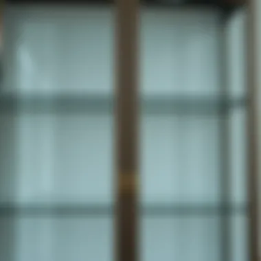 Close-up of the glass doors and metal frame of a tall cabinet