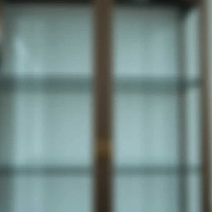 Close-up of the glass doors and metal frame of a tall cabinet