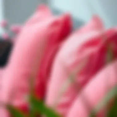 Close-up of high-quality fabric used for outdoor cushions