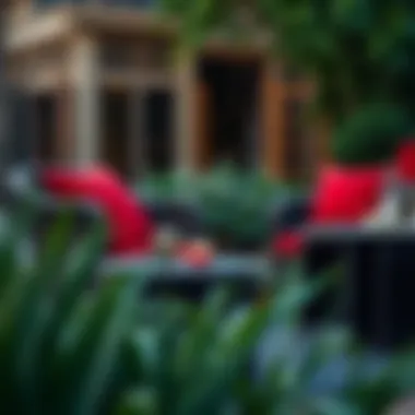 Exploring the Allure of Outdoor Wicker Furniture with Red Cushions Summary