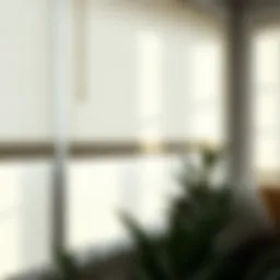 Exploring the Benefits and Styles of White Fabric Window Shades Introduction
