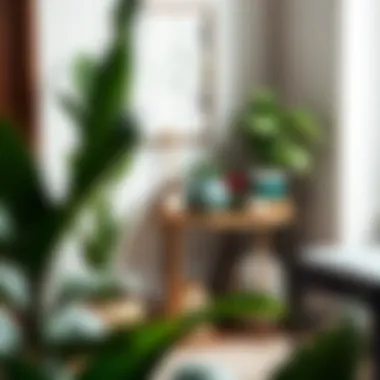 Caddy corner table decorated with plants and decor items