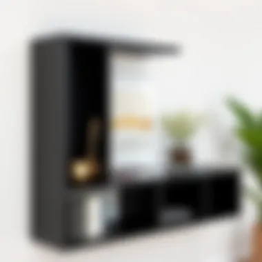 Stylish Black Laminated Wood Shelf Stylish black laminated wood shelf showcasing design versatility