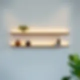 Elegant floating shelves showcasing contemporary design