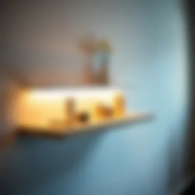 Undermount Lighting on Modern Shelf Stylish undermount lighting illuminating a modern shelf