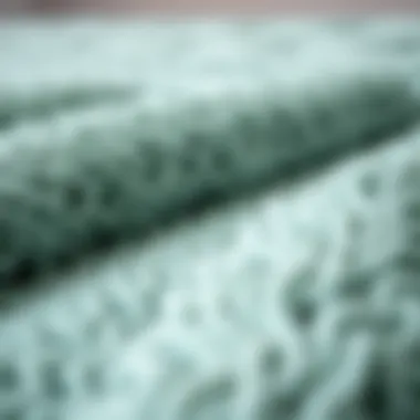Mint Rug Texture and Design Details Close-up of mint rug texture and design details