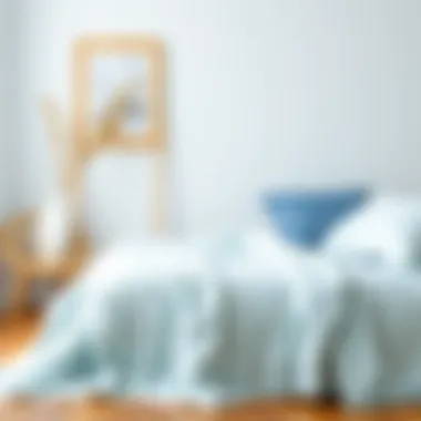 Notable Exploring the Essence of Powder Blue Blankets in Interior Design