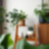 Elegant wooden three tier plant stand showcasing diverse greenery