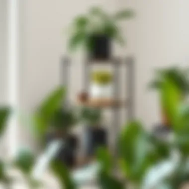 Contemporary Metal Plant Stand with Vibrant Plants Metal three tier plant stand with contemporary design and vibrant plants