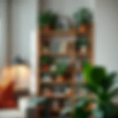 Corner Bookshelf with Plants A corner bookshelf filled with plants and books, enhancing the room's ambiance